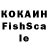 COCAIN FishScale magdalena kozlowska