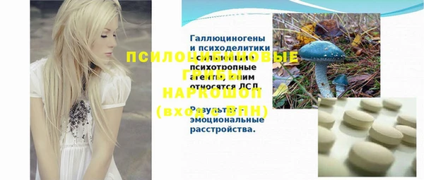 сатива Лагань