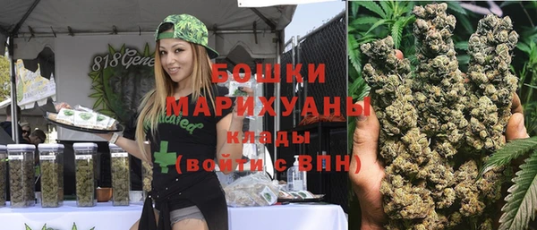 сатива Лагань