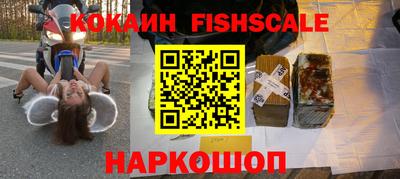 индика Гай