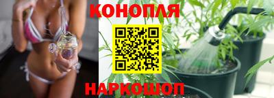 трава Гатчина