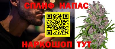 индика Гай