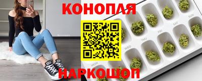 трава Гатчина