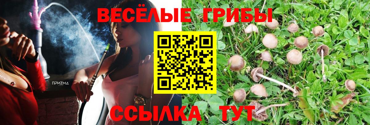 Галлюциногенные грибы мицелий  Вход с VPN  Лабытнанги  Псилоцибиновые грибы Psilocybe 