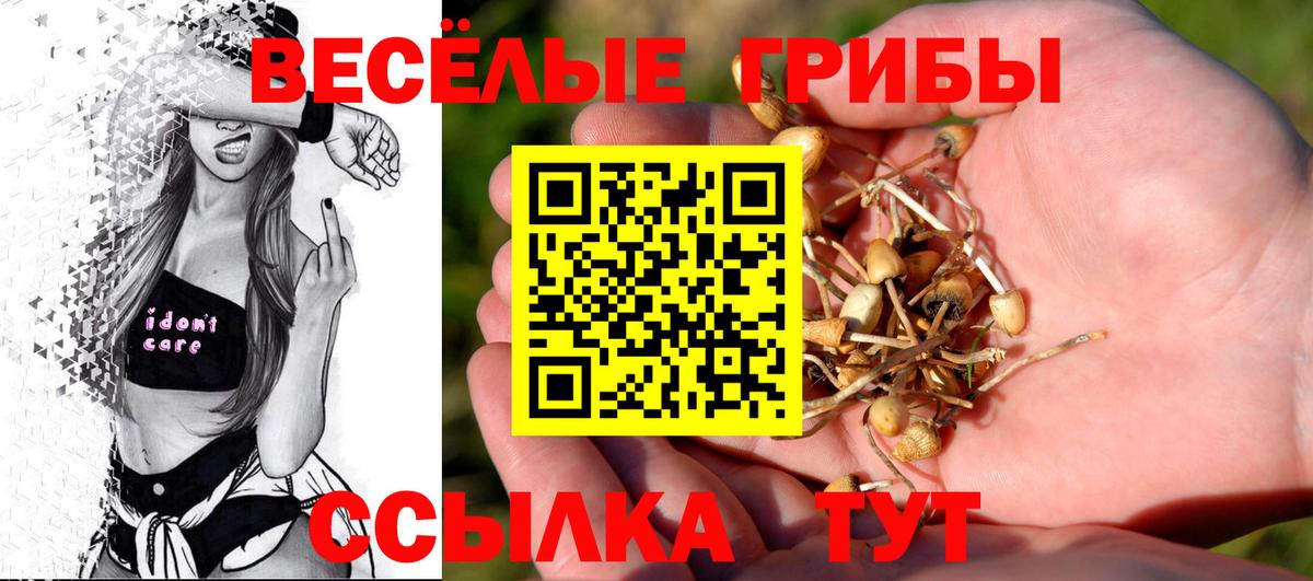 Псилоцибиновые грибы Cubensis Лабытнанги