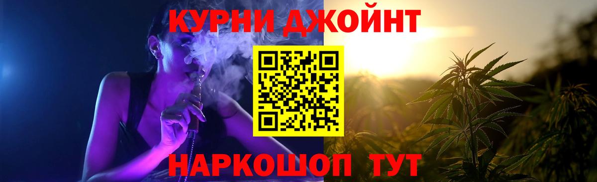 Бошки Шишки план Лабытнанги